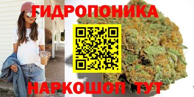 молекула духа Кинель