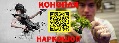 Альфа ПВП Кингисепп