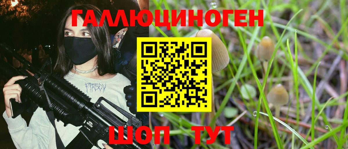 где купить наркоту  Галлюциногенные грибы Cubensis  Вход с VPN  Кызыл 
